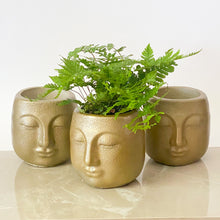 Load image into Gallery viewer, Buddha Planter
