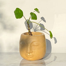 Load image into Gallery viewer, Buddha Planter
